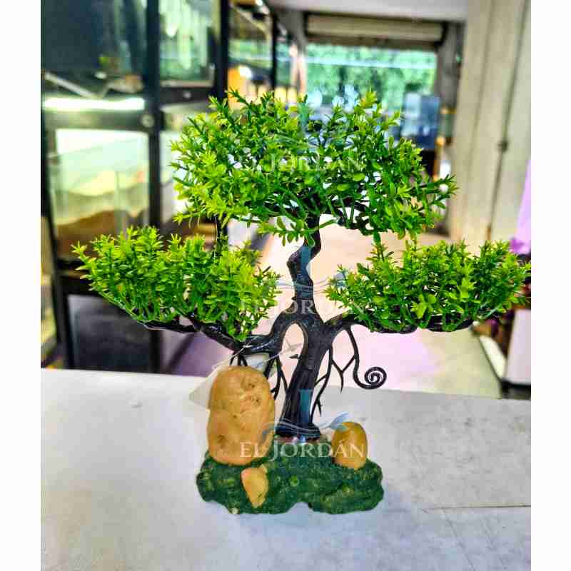 0264 Bonsai Ancestral 21cm