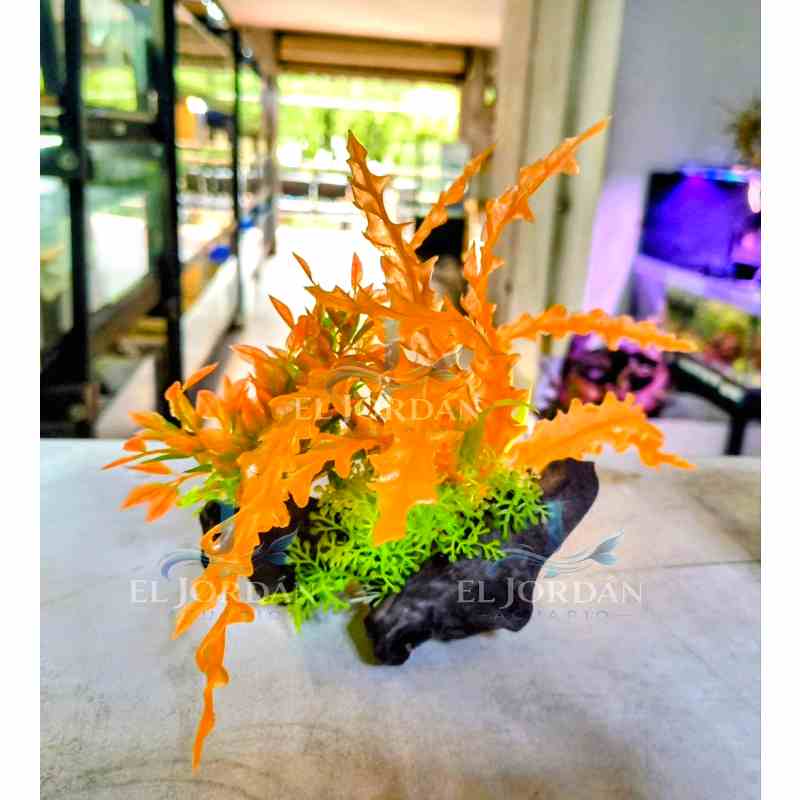 K-702 Planta Tronco Naranja Neón