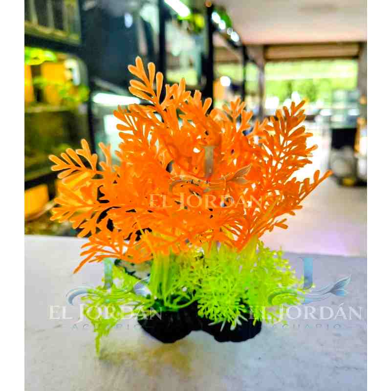 0278 Planta Baja Naranja Neón