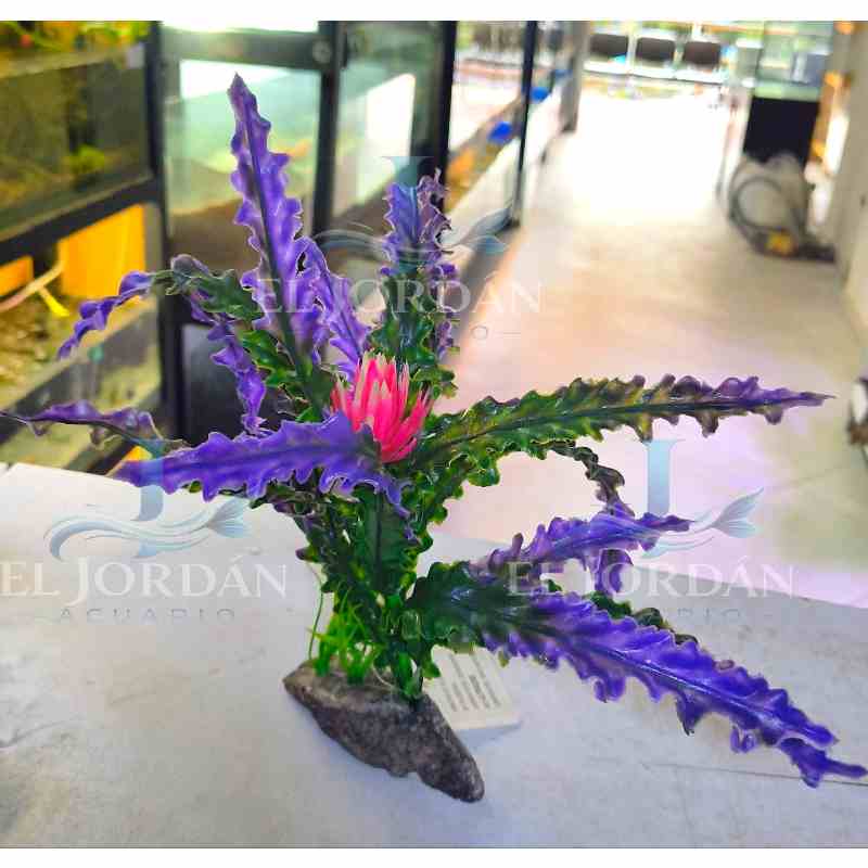 0269 Helecho Morado
