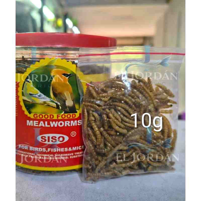 Siso Tenebrios Liofilizados Meal Worms 10g