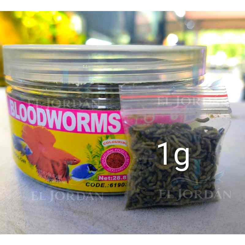Siso Blood Worms 1g