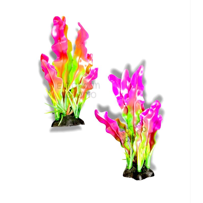SC-2419 Planta Algas 24cm